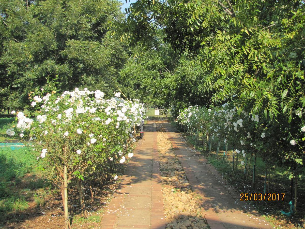 Millstream Inn Guest House Skeerpoort Ngoại thất bức ảnh