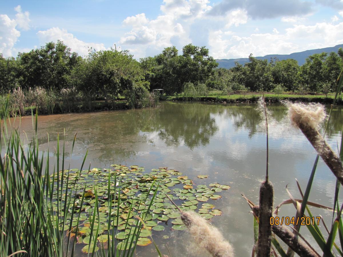 Millstream Inn Guest House Skeerpoort Ngoại thất bức ảnh